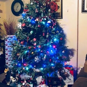 Meet your Posher, Luz